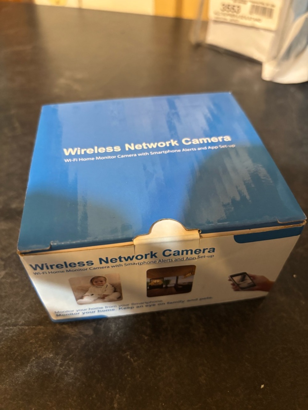 Wireless Network Camera